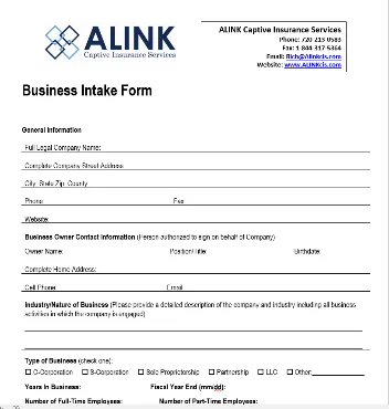 Business intake form and data analysis process