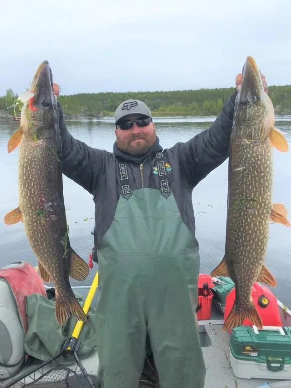 Angler holding up two large northern pike on a boat