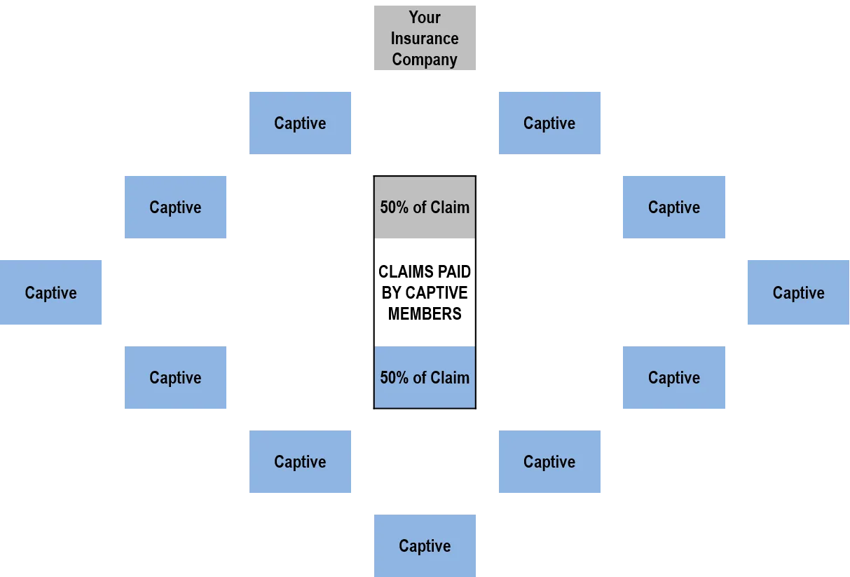 Quota share diagram