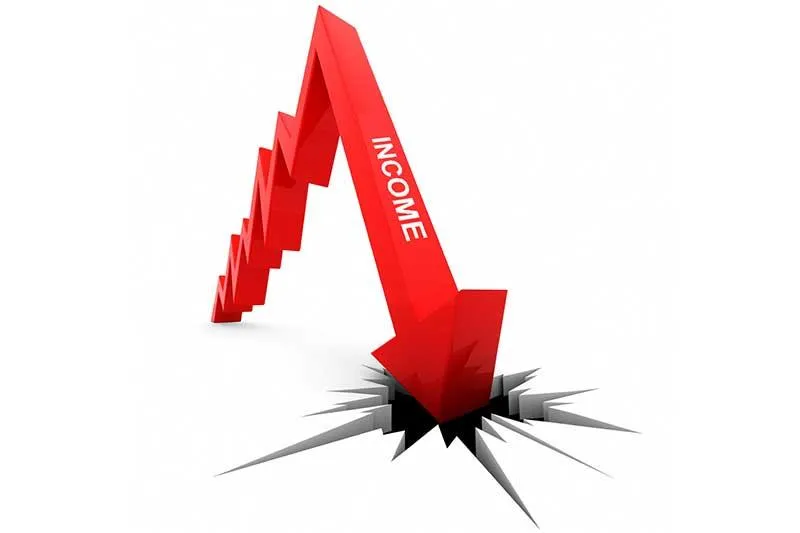 Red arrow labeled Income crashing downward — representing business volatility
