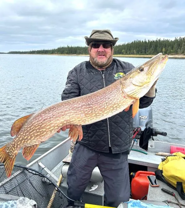 Large fish caught during the wilderness fishing trip