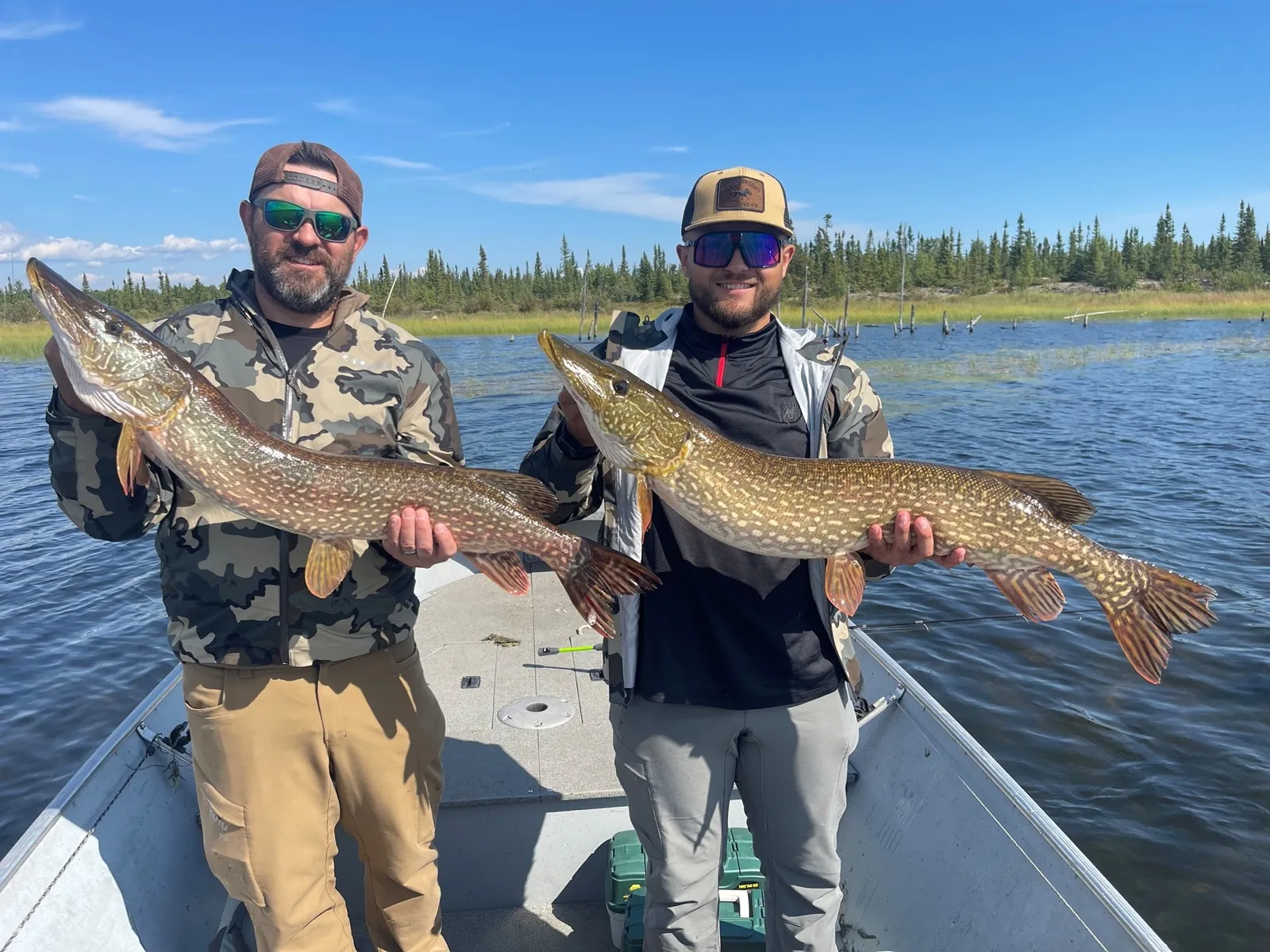 Dylan's double catch